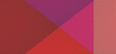 software test